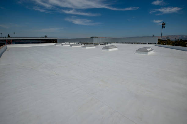 Best Roof Coating and Sealing  in Hamton, IL