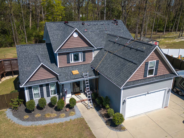 Best Roof Maintenance and Cleaning  in Hamton, IL